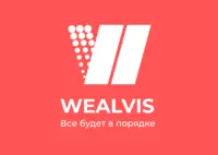 Логотип Wealvis