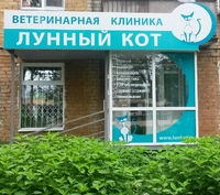 Логотип Лунный кот