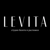 Логотип Levita