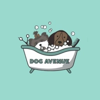 Логотип Dog avenue