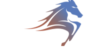 Логотип NOMAD-GAS LPG