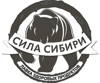 Логотип Сила Сибири