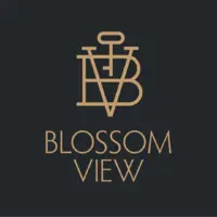 Логотип Blossom View