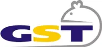 Логотип GST