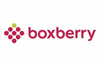 Логотип Boxberry (ИП Аширов Радик Сулейманович)