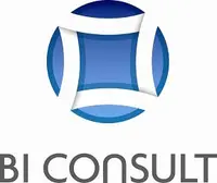 Логотип BI Consult