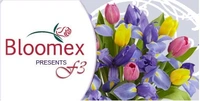 Bloomex Company Group отзывы сотрудников