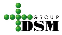 Логотип DSM Group