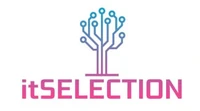 Логотип IT_Selection