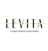 Логотип Levita (ИП Оленина Екатерина Александровна)